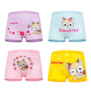 48167805681948|48167805747484|48167805780252|48167806009628