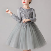 Floral Embroidered Top Long Sleeve Princess Dress