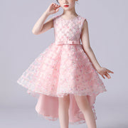 Small Flowers Full Embroidered Long Back Princess Dress