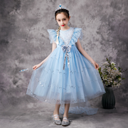 Lace and Sequins Puff Sleeves Snow Princess Costume Dress